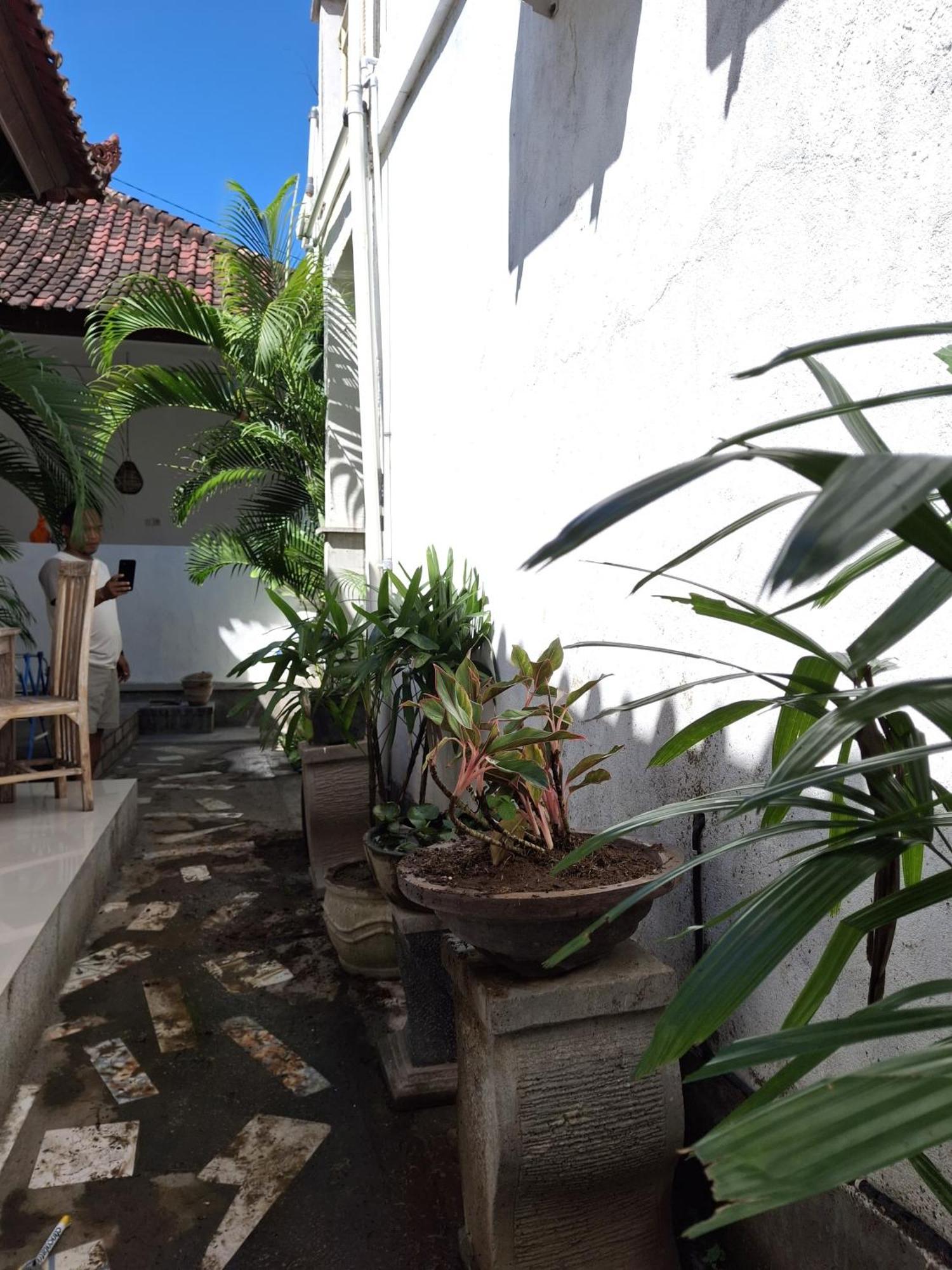 Adore Guesthouse Amed Quarto foto